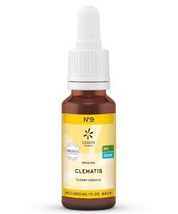 Clematis - Clématite (N°09)
